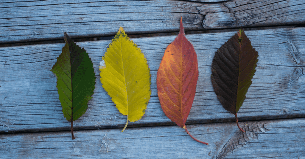 four agreements