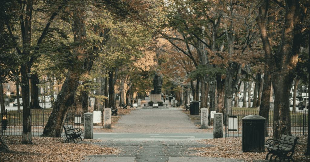 The-Opioid-Epidemic-in-Massachusetts