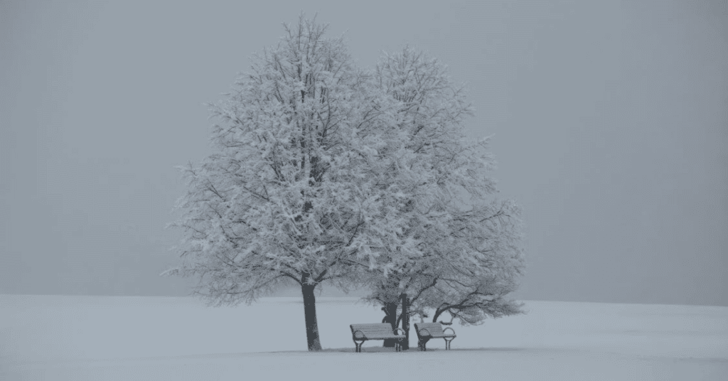 six more weeks of winter