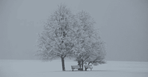 six more weeks of winter